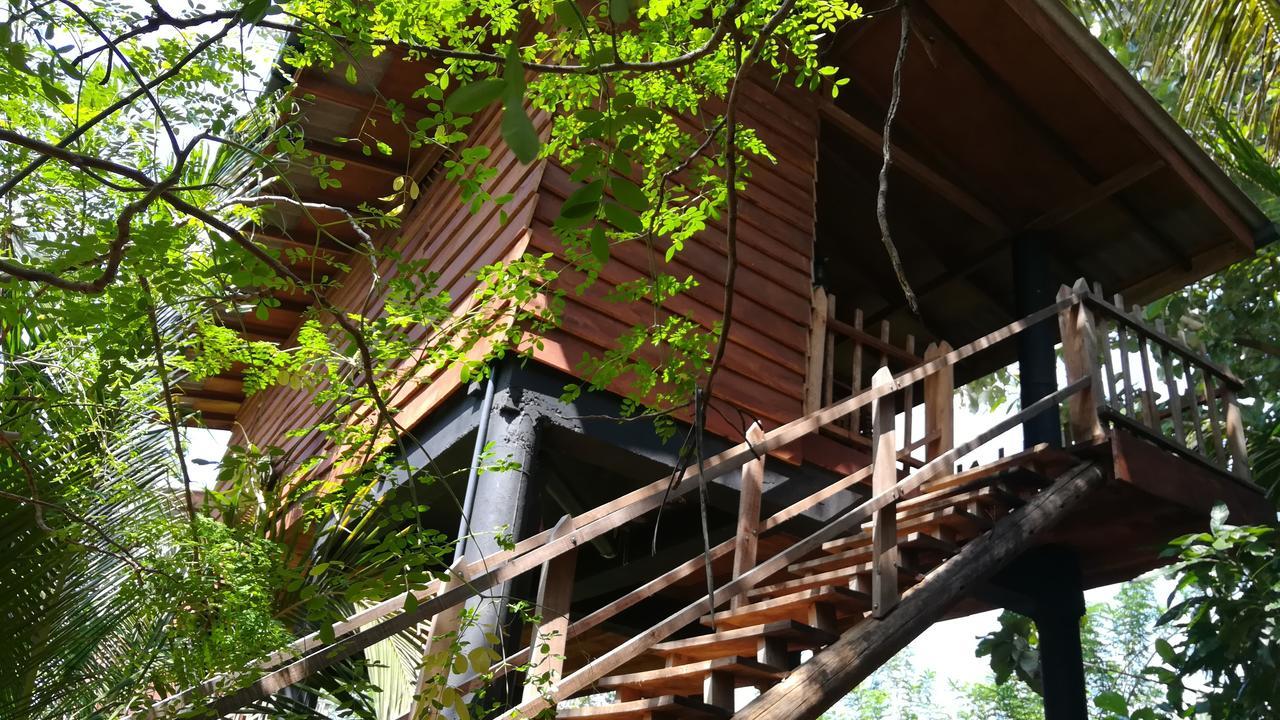 Деревянный коттедж Sigiri Sarilco Rock View Treehouse *