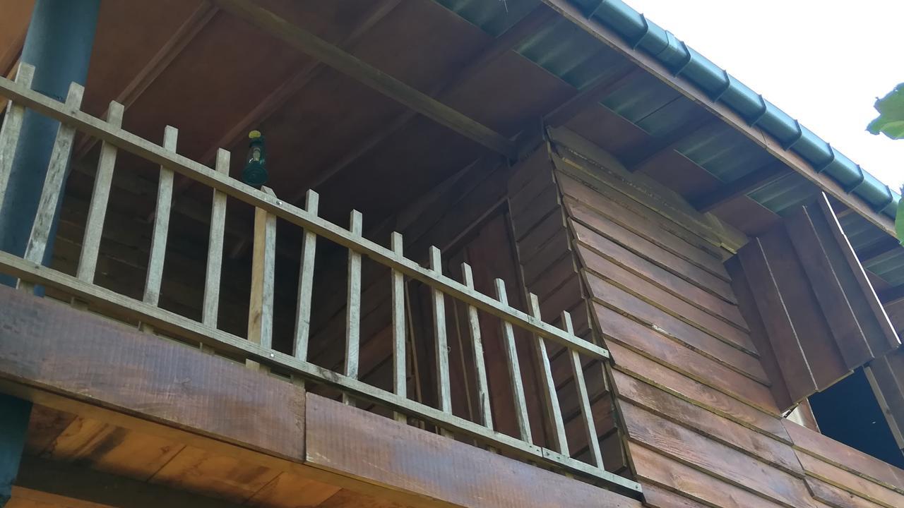 Sigiri Sarilco Rock View Treehouse * Сигирия